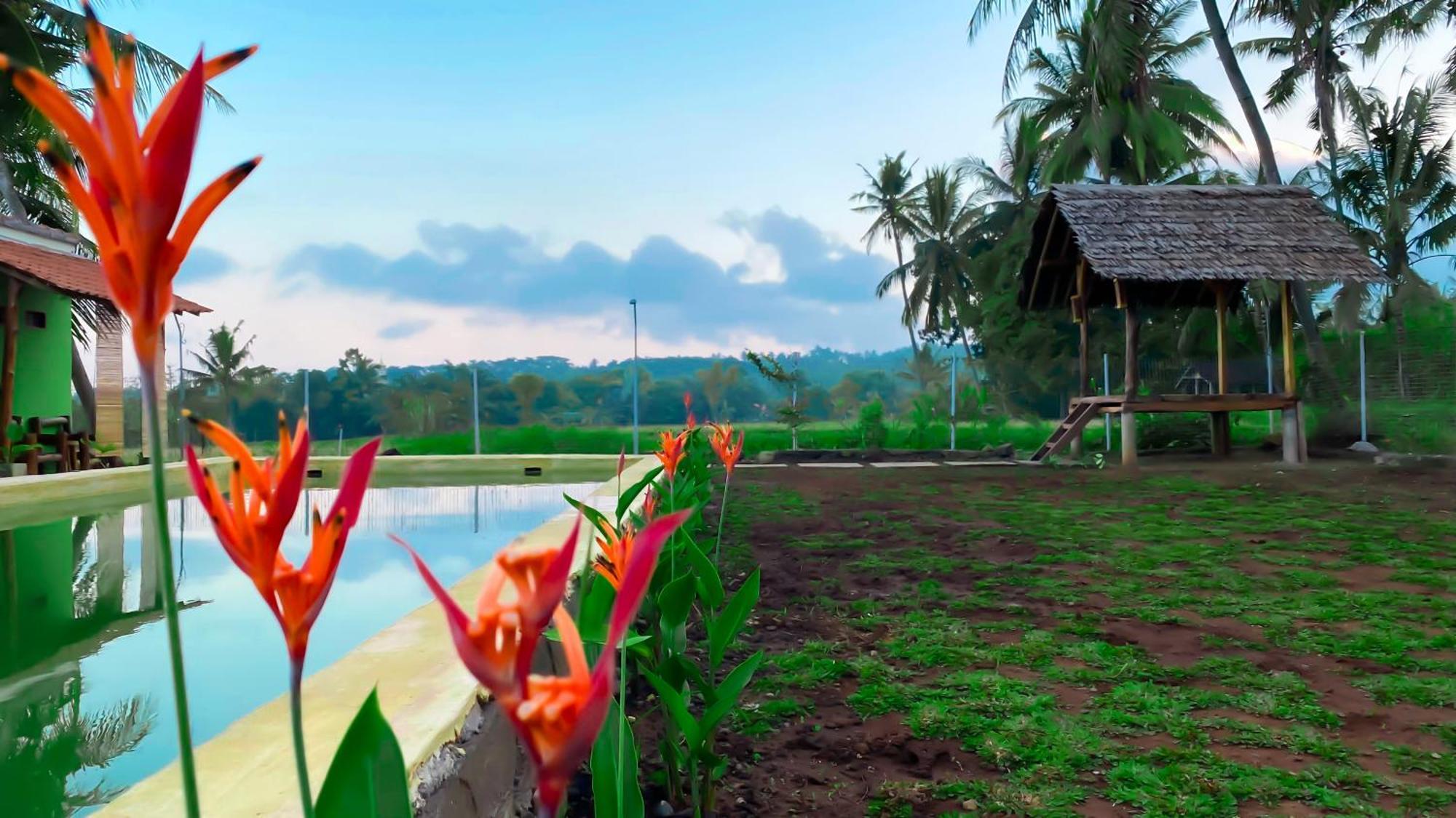 Wooden Kemiren Homestay Banyuwangi Banyuwangi  Exterior foto