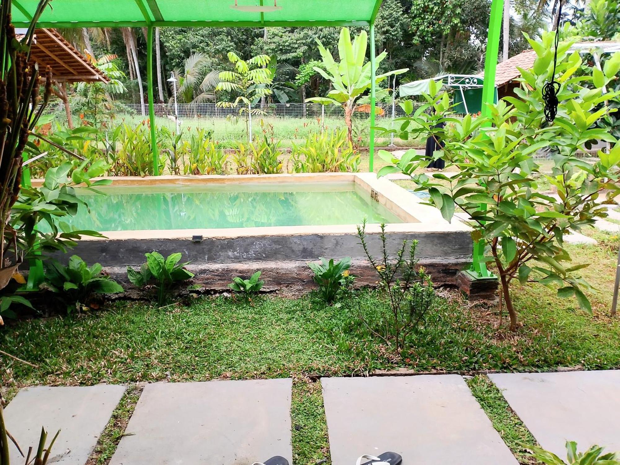 Wooden Kemiren Homestay Banyuwangi Banyuwangi  Exterior foto